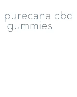 purecana cbd gummies