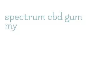 spectrum cbd gummy