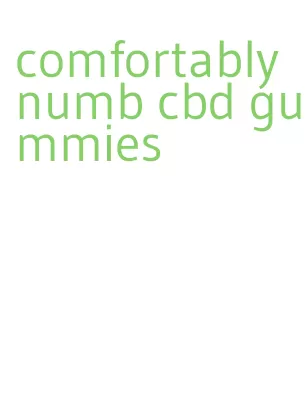 comfortably numb cbd gummies