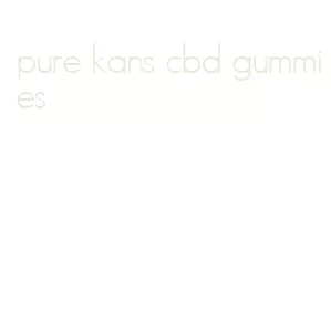 pure kans cbd gummies