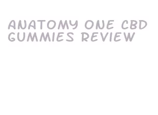 anatomy one cbd gummies review