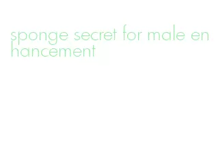 sponge secret for male enhancement