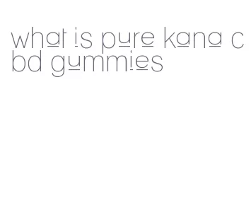 what is pure kana cbd gummies