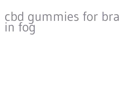 cbd gummies for brain fog