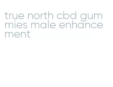 true north cbd gummies male enhancement