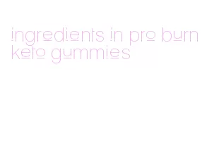 ingredients in pro burn keto gummies