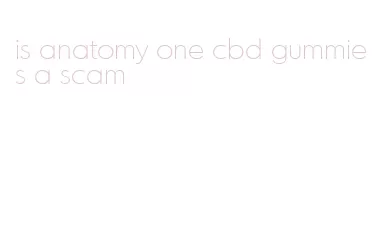 is anatomy one cbd gummies a scam