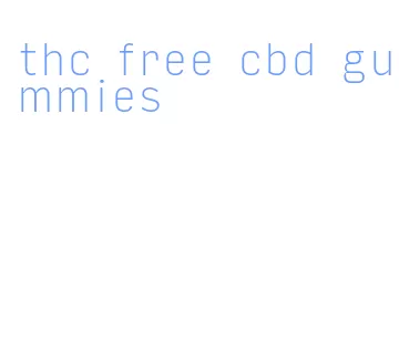 thc free cbd gummies