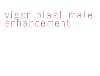 vigor blast male enhancement