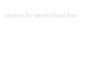 vitamins for penile blood flow