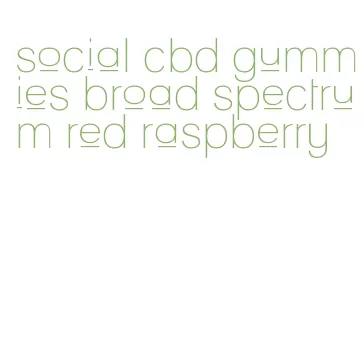 social cbd gummies broad spectrum red raspberry