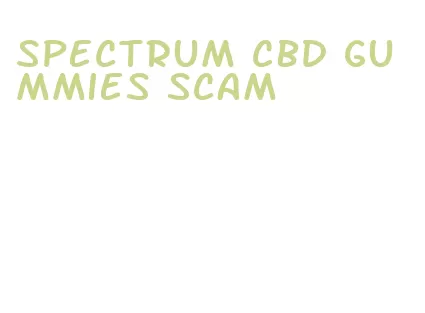 spectrum cbd gummies scam