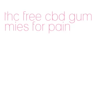 thc free cbd gummies for pain