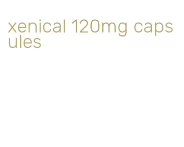 xenical 120mg capsules