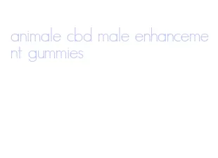 animale cbd male enhancement gummies