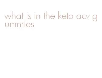 what is in the keto acv gummies