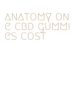 anatomy one cbd gummies cost