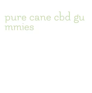 pure cane cbd gummies