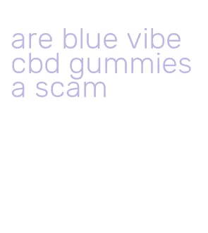 are blue vibe cbd gummies a scam