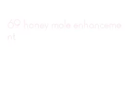 69 honey male enhancement