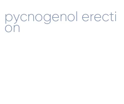 pycnogenol erection