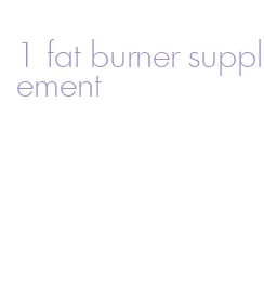 1 fat burner supplement