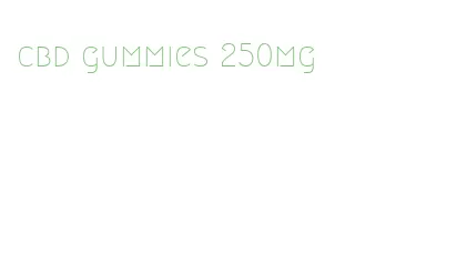 cbd gummies 250mg