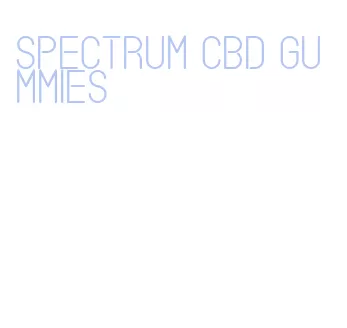 spectrum cbd gummies