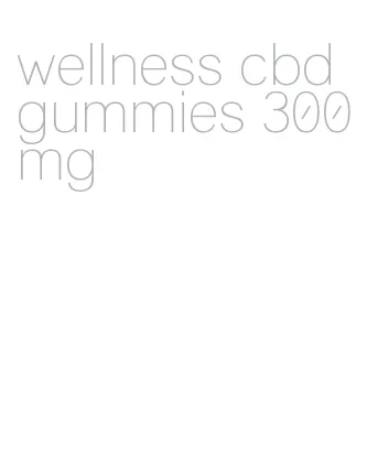 wellness cbd gummies 300mg