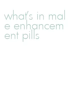 what's in male enhancement pills