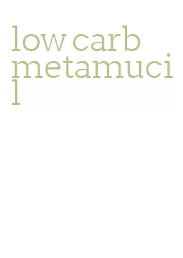 low carb metamucil