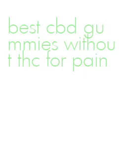 best cbd gummies without thc for pain