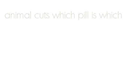 animal cuts which pill is which