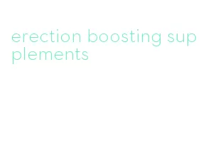 erection boosting supplements