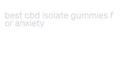 best cbd isolate gummies for anxiety