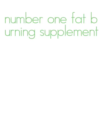 number one fat burning supplement