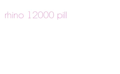 rhino 12000 pill