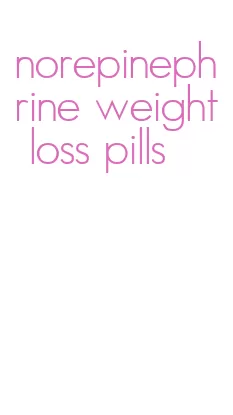 norepinephrine weight loss pills