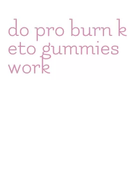 do pro burn keto gummies work