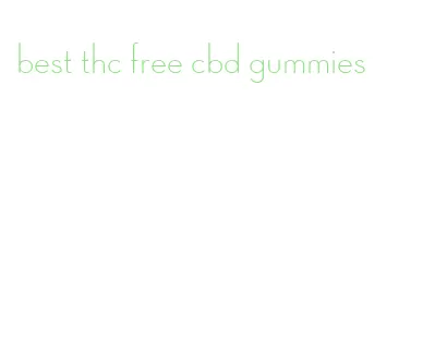 best thc free cbd gummies