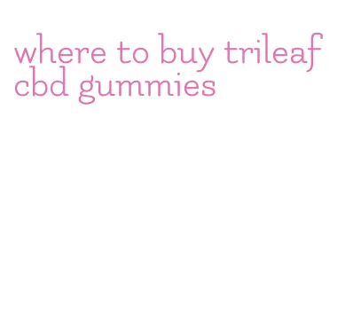 where to buy trileaf cbd gummies