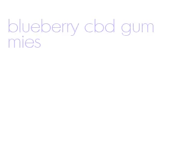 blueberry cbd gummies