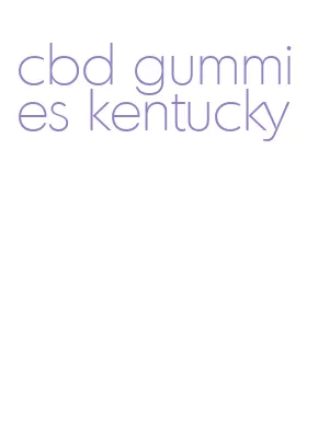 cbd gummies kentucky