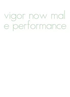 vigor now male performance