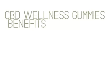 cbd wellness gummies benefits