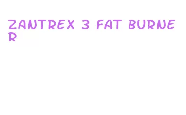 zantrex 3 fat burner