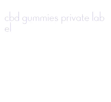 cbd gummies private label