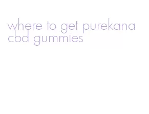 where to get purekana cbd gummies