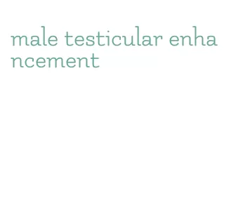 male testicular enhancement