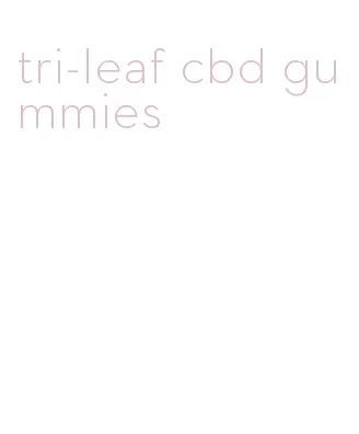 tri-leaf cbd gummies